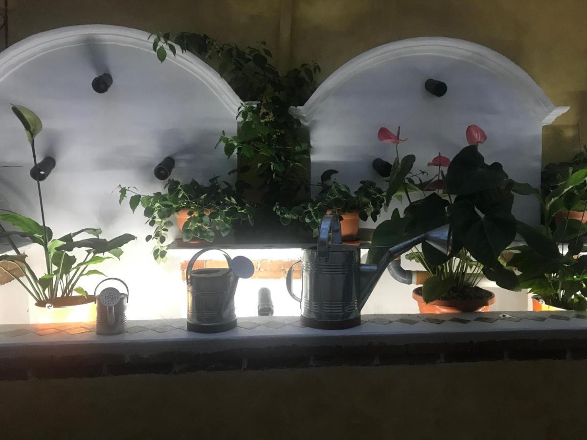 Hotel Boutique Casa Jose Coban Luaran gambar